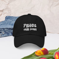 Load image into Gallery viewer, Please Calm Down hat - SHOPNOO
