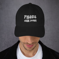 Load image into Gallery viewer, Please Calm Down hat - SHOPNOO
