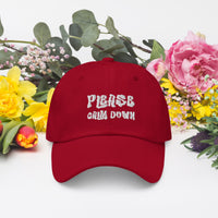 Load image into Gallery viewer, Please Calm Down hat - SHOPNOO
