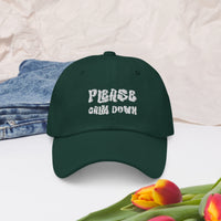 Load image into Gallery viewer, Please Calm Down hat - SHOPNOO
