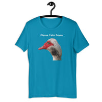 Load image into Gallery viewer, Please Calm Down T-Shirt - SHOPNOO
