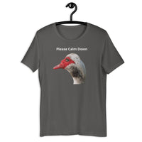 Load image into Gallery viewer, Please Calm Down T-Shirt - SHOPNOO
