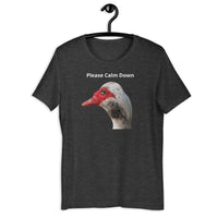 Load image into Gallery viewer, Please Calm Down T-Shirt - SHOPNOO

