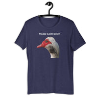 Load image into Gallery viewer, Please Calm Down T-Shirt - SHOPNOO
