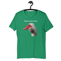 Load image into Gallery viewer, Please Calm Down T-Shirt - SHOPNOO
