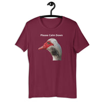 Load image into Gallery viewer, Please Calm Down T-Shirt - SHOPNOO
