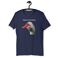 Load image into Gallery viewer, Please Calm Down T-Shirt - SHOPNOO
