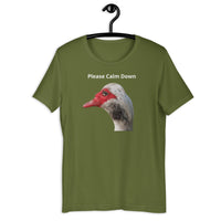 Load image into Gallery viewer, Please Calm Down T-Shirt - SHOPNOO
