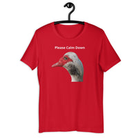 Load image into Gallery viewer, Please Calm Down T-Shirt - SHOPNOO
