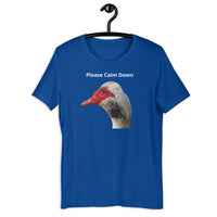 Load image into Gallery viewer, Please Calm Down T-Shirt - SHOPNOO
