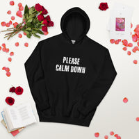 Load image into Gallery viewer, Please Calm Down Hoodie - SHOPNOO
