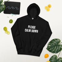 Load image into Gallery viewer, Please Calm Down Hoodie - SHOPNOO

