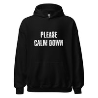 Load image into Gallery viewer, Please Calm Down Hoodie

