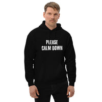 Load image into Gallery viewer, Please Calm Down Hoodie - SHOPNOO

