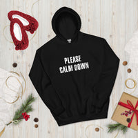 Load image into Gallery viewer, Please Calm Down Hoodie - SHOPNOO
