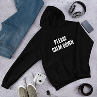 Load image into Gallery viewer, Please Calm Down Hoodie - SHOPNOO
