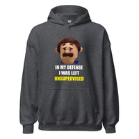 Load image into Gallery viewer, Puppet Diego for sale In My Defence I Was Left Unsupervised Hoodie - SHOPNOO
