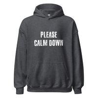 Load image into Gallery viewer, Please Calm Down Hoodie - SHOPNOO
