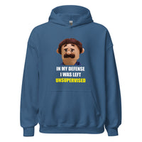 Load image into Gallery viewer, Puppet Diego for sale In My Defence I Was Left Unsupervised Hoodie - SHOPNOO
