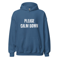 Load image into Gallery viewer, Please Calm Down Hoodie - SHOPNOO
