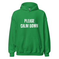 Load image into Gallery viewer, Please Calm Down Hoodie - SHOPNOO
