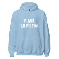 Load image into Gallery viewer, Please Calm Down Hoodie - SHOPNOO
