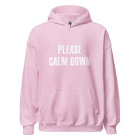 Load image into Gallery viewer, Please Calm Down Hoodie - SHOPNOO
