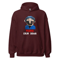 Load image into Gallery viewer, Please Calm Down Awkward Puppets Diego Hoodie - SHOPNOO
