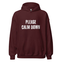 Load image into Gallery viewer, Please Calm Down Hoodie - SHOPNOO
