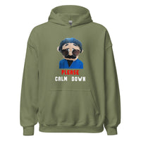 Load image into Gallery viewer, Please Calm Down Awkward Puppets Diego Hoodie - SHOPNOO
