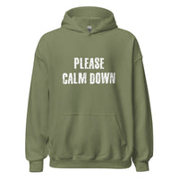 Load image into Gallery viewer, Please Calm Down Hoodie - SHOPNOO
