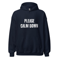 Load image into Gallery viewer, Please Calm Down Hoodie - SHOPNOO
