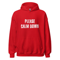 Load image into Gallery viewer, Please Calm Down Hoodie - SHOPNOO
