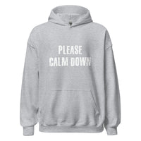 Load image into Gallery viewer, Please Calm Down Hoodie - SHOPNOO
