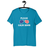 Load image into Gallery viewer, Please Calm Down T-Shirt - SHOPNOO
