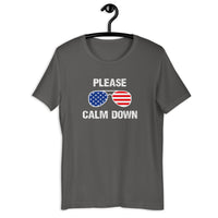 Load image into Gallery viewer, Please Calm Down T-Shirt - SHOPNOO
