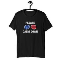 Load image into Gallery viewer, Please Calm Down T-Shirt
