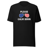Load image into Gallery viewer, Please Calm Down T-Shirt - SHOPNOO
