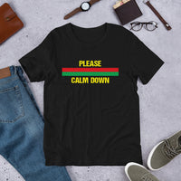 Load image into Gallery viewer, Please Calm Down T-Shirt - SHOPNOO

