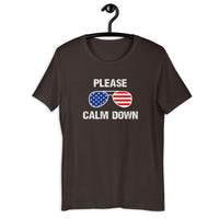 Load image into Gallery viewer, Please Calm Down T-Shirt - SHOPNOO
