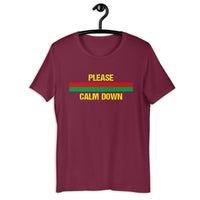 Load image into Gallery viewer, Please Calm Down T-Shirt - SHOPNOO
