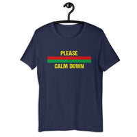 Load image into Gallery viewer, Please Calm Down T-Shirt - SHOPNOO
