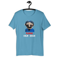 Load image into Gallery viewer, Awkward Puppets Diego Please Calm down T-shirt - SHOPNOO
