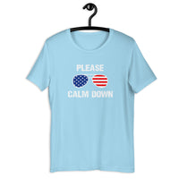 Load image into Gallery viewer, Please Calm Down T-Shirt - SHOPNOO

