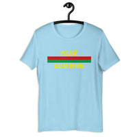 Load image into Gallery viewer, Please Calm Down T-Shirt - SHOPNOO
