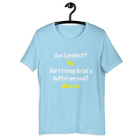 Load image into Gallery viewer, Am I Perfect? No. Am I Trying To Be A Better Person? Also No T-Shirt - SHOPNOO
