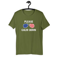 Load image into Gallery viewer, Please Calm Down T-Shirt - SHOPNOO
