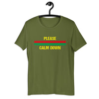 Load image into Gallery viewer, Please Calm Down T-Shirt - SHOPNOO
