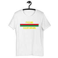 Load image into Gallery viewer, Please Calm Down T-Shirt - SHOPNOO
