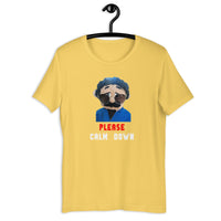Load image into Gallery viewer, Awkward Puppets Diego Please Calm down T-shirt - SHOPNOO
